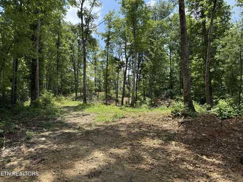 458 Nydeck Rd, Robbins, TN 37852
