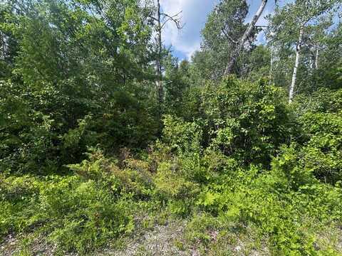 NHN Cedar Terrace, Presque Isle, MI 49777
