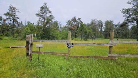 Witte Trail, Lovells, MI 49738