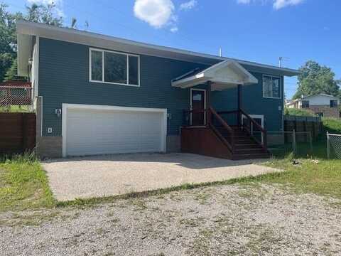13187 S Straits Highway, Wolverine, MI 49799