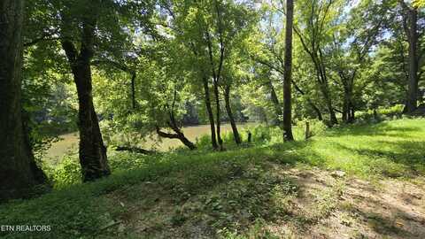 4245 Cave Springs Rd, Tazewell, TN 37879
