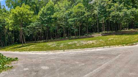 00 Lot 41 Poplar Drive, Sweetwater, TN 37874