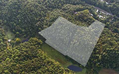 Lot 8 Murphy Lane, Mineral Bluff, GA 30559