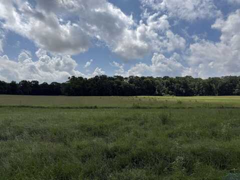 Tbd CR 317, Henderson, TX 75654