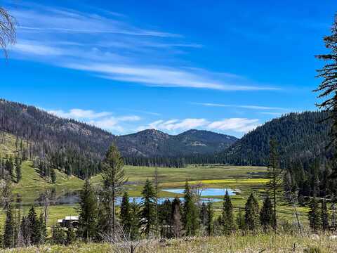 TBD BONAPARTE LAKE RD, WAUCONDA, WA 98859
