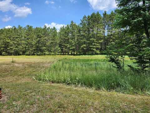 6389 South Woods Trail Road, Custer, MI 49405