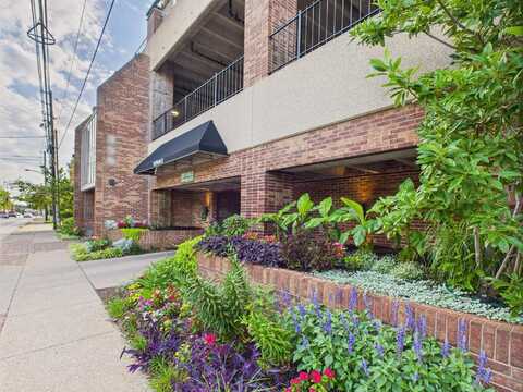 355 South Broadway, Lexington, KY 40508