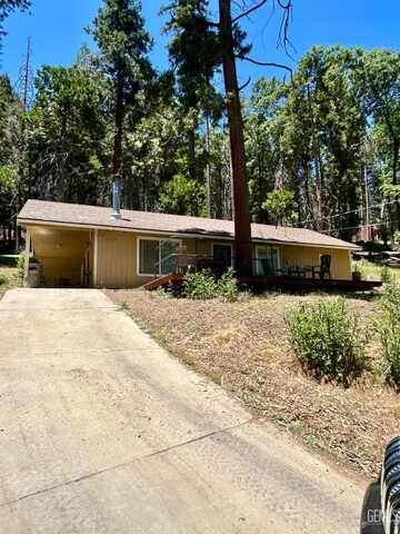 47694 Beartrap Road, Posey, CA 93260