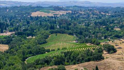 1250 Partrick Road, Napa, CA 94558