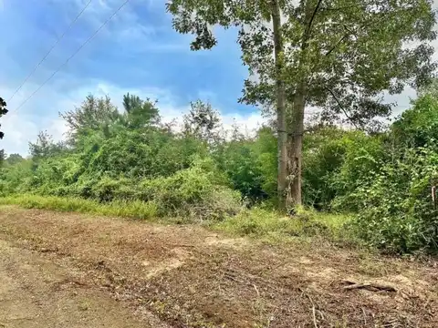 TBD County Road 2711, Shelbyville, TX 75973