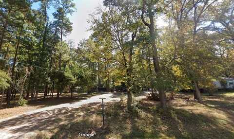 TBD Canvasback, Trinity, TX 75862