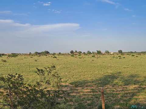 Se Of 47 Armstrong Road, Hope, NM 88250