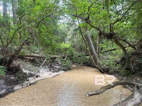 0 Dry Branch Lane, Robertsdale, AL 36567