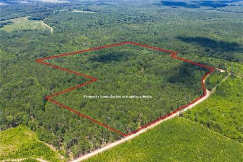 0001 COUNTY ROAD 55, CAMP HILL, AL 36850