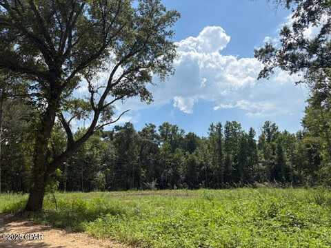 0 Bonnet Pond Road, Cottondale, FL 32431