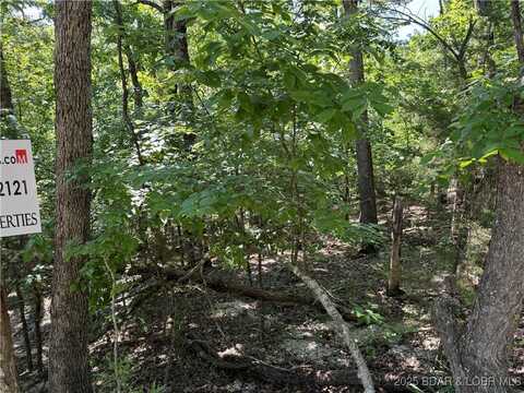 undefined, Camdenton, MO 65020