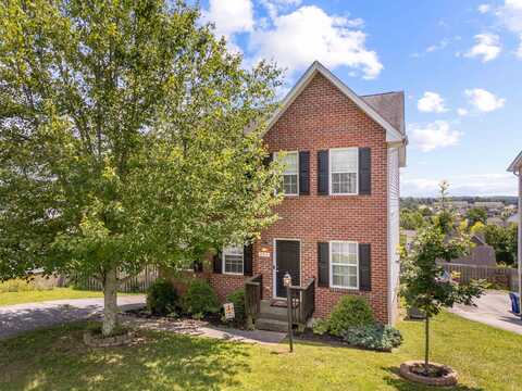 175 Wistaria Dr Drive, Christiansburg, VA 24073