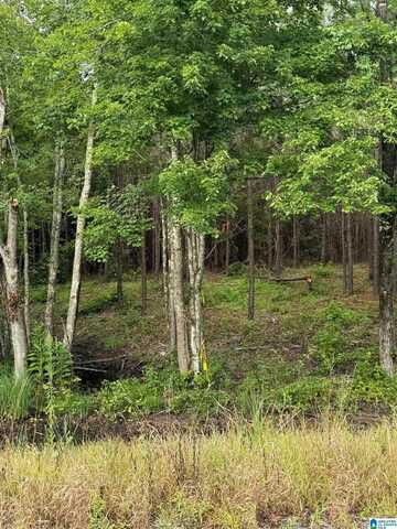 0 CONCORD CHURCH ROAD, TALLADEGA, AL 35160