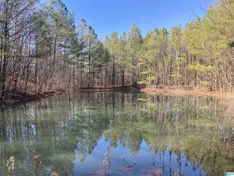 143 ROCKY HOLLOW LANE, PIEDMONT, AL 36272