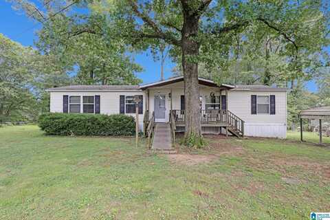 351 MCGINNIS STREET, SPRINGVILLE, AL 35146