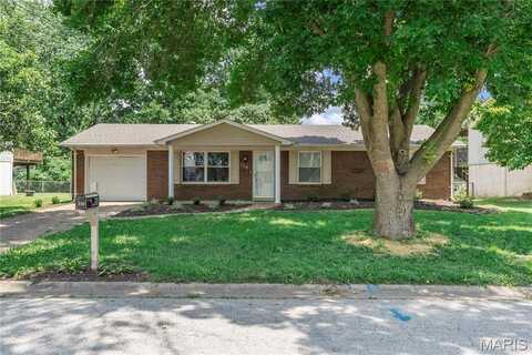 220 Las Olas Drive, Belleville, IL 62221