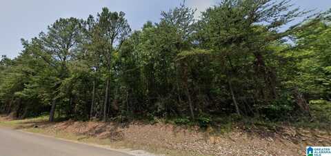 00 BAMA ROCK GARDEN ROAD, VANCE, AL 35490