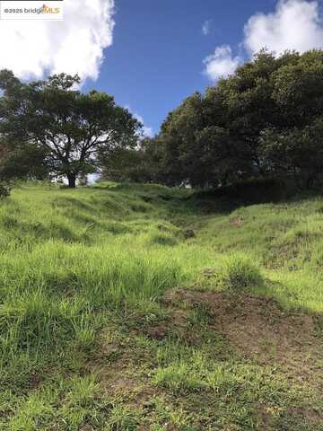 undefined, San Rafael, CA 94901