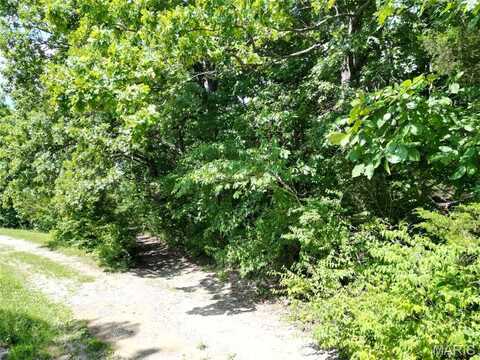 12348 Frederick Court, Festus, MO 63028