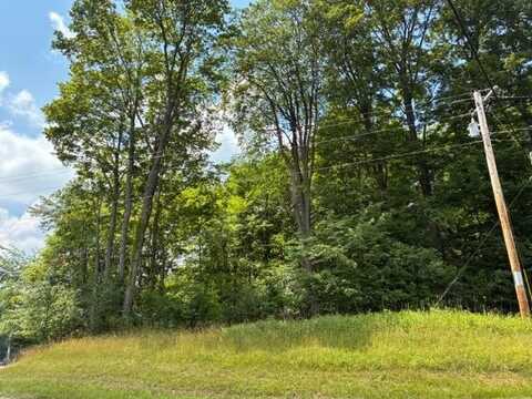 7326 State Route 19, Unit 5, Lots 1-2, Mount Gilead, OH 43338
