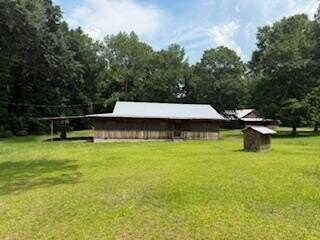 595 Hwy 257, Pineview, GA 31071