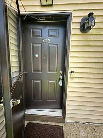 503 Samuel Court, Brunswick Gardens, NJ 08810