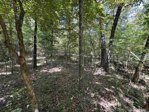 Big Creek Rd, Hardy, AR 72542