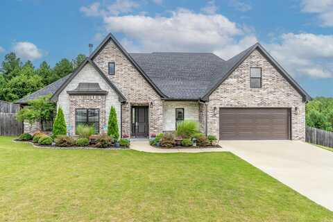9096 Stone Canyon Drive, Alexander, AR 72002