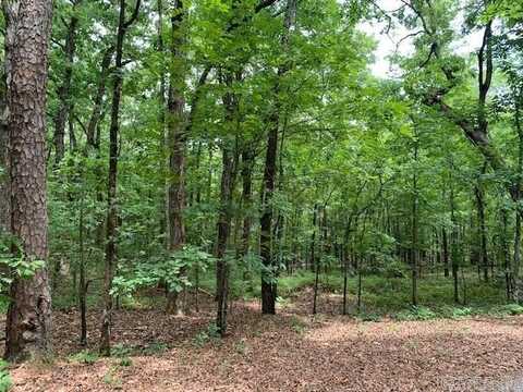 Lots 44 & 45 Lakeview Drive, Heber Springs, AR 72543