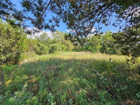 Tbd Lakeview Trail, Weatherford, TX 76087