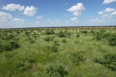 Tract 15 TBD Cr 495, Hawley, TX 79525