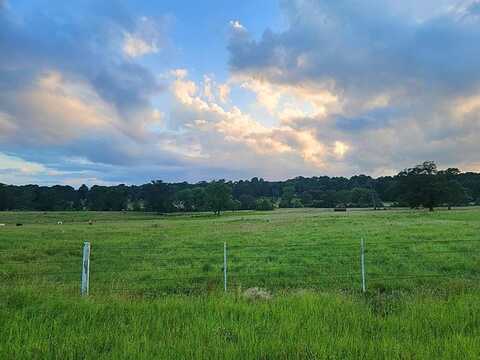 00 Fm 778, Quitman, TX 75783