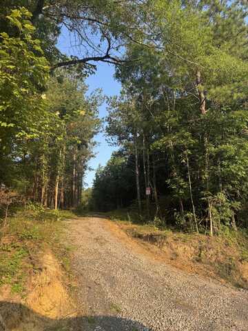 119 Hail Hollow Road, Decatur, TN 37322