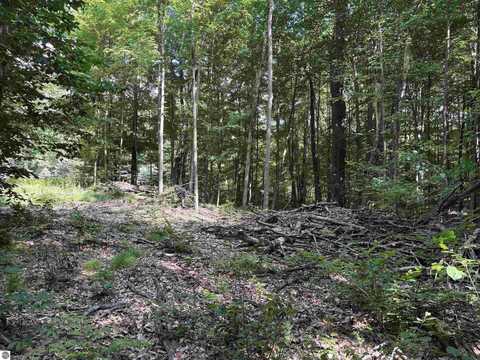 116 KNOLL ONE DRIVE, LEROY, MI 49655