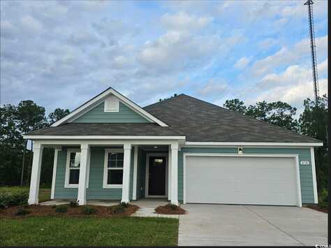 234 Teddy Bear Circle, Conway, SC 29526