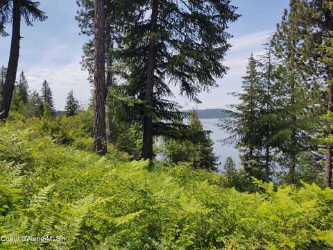 19xxx S HEADLANDS DR, Harrison, ID 83833