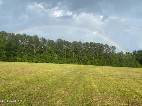 100 L Latham Road, Morton, MS 39117