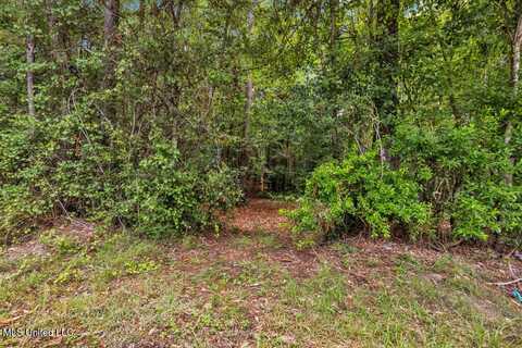 Carnation Street, Kiln, MS 39556