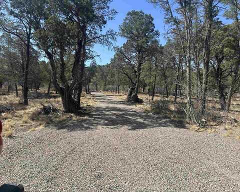 97 Bear LN, Timberon, NM 88350