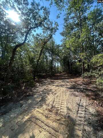 0 Gary Hallman Circle, Leesville, SC 29070