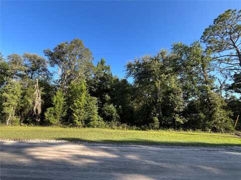 81ST STREET NE, BRONSON, FL 32621