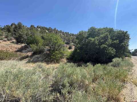 53 Porter Way, Dolores, CO 81323