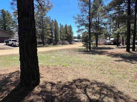 533 Dutton Drive, Pagosa Springs, CO 81147