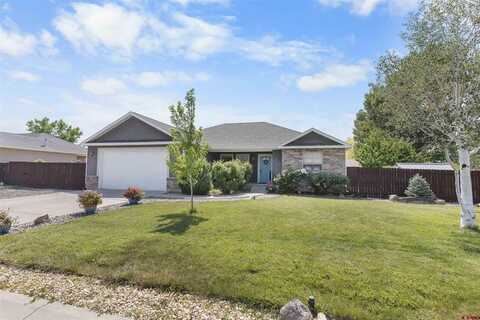 1673 6429 Circle, Montrose, CO 81403