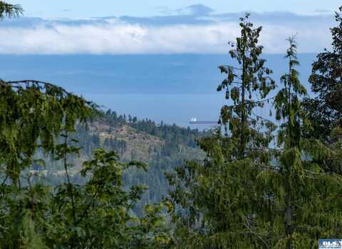 262 Break View Road, Port Angeles, WA 98363
